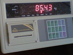 INDICATOR A9+ PRINTER -081-946-251-388